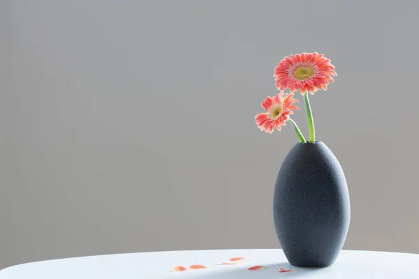 pink gerber in gray vase on white table on background gray wall