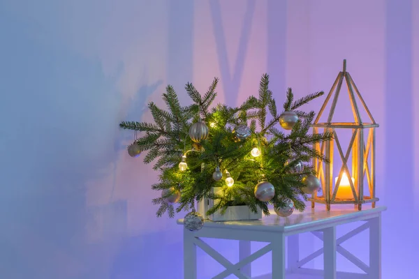 多色照明墙背景下冷杉枝干的圣诞节排列 — 图库照片