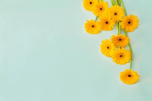 Flores Gerberas Amarillas Sobre Fondo Papel Verde —  Fotos de Stock