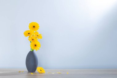 Ahşap raftaki vazoda sarı gerbera