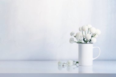 Beyaz arkaplanda klasik bardakta beyaz kasımpatılar.
