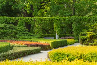 Güneşin altında güzel şehir yaz parkı