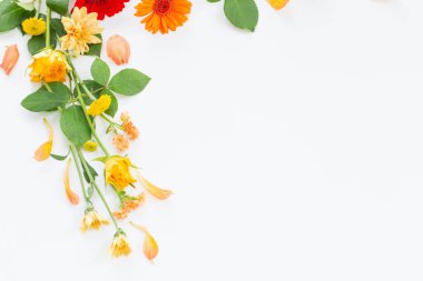 çerçeve beyaz zemin üzerine güzel çiçekler