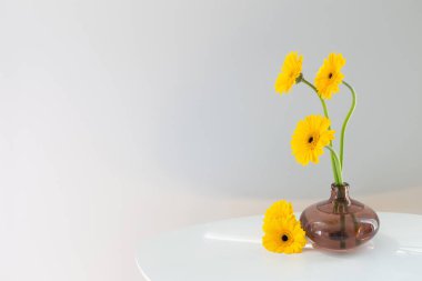 Sarı gerbera cam vazoda beyaz masada beyaz arkaplanda