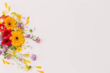 beyaz zemin üzerine yaz çiçek