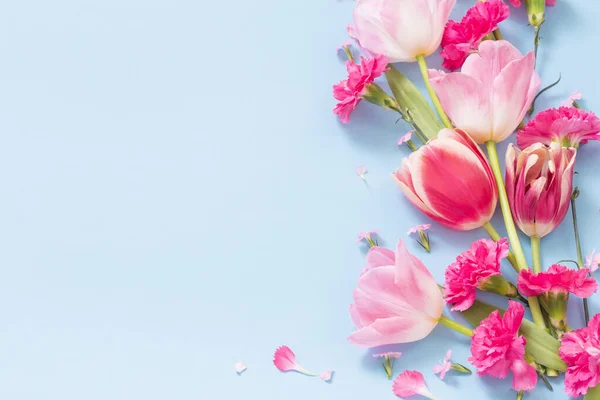 Beautiful Spring Flowers Blue Background — Stock Photo, Image