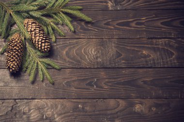 fir branches and cone on dark old wooden background