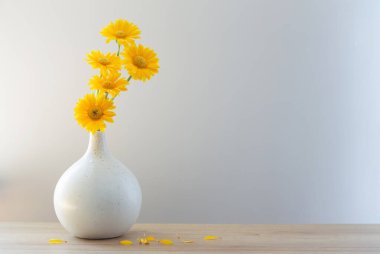 sarı gerbera modern vazoda ahşap rafta