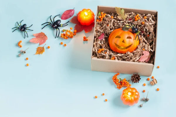 Halloween Pumpa Presentförpackning Med Inredning Blå Bakgrund — Stockfoto