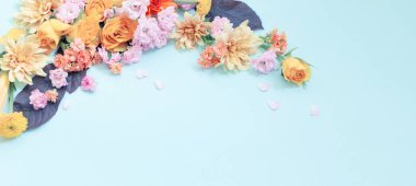 Mavi arka planda güzel yaz çiçekleri