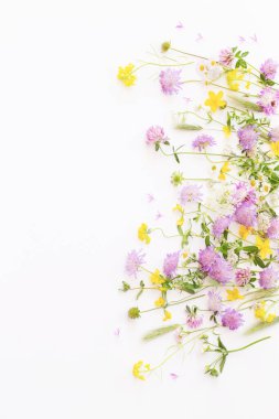 Beyaz arka planda yaz çiçekleri