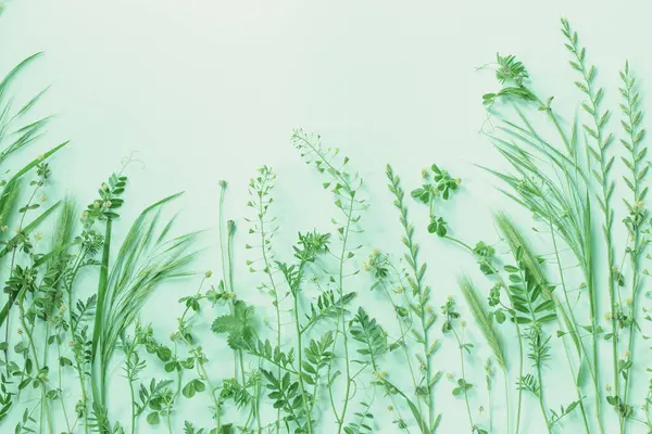 Wilde Planten Groenboek Achtergrond — Stockfoto