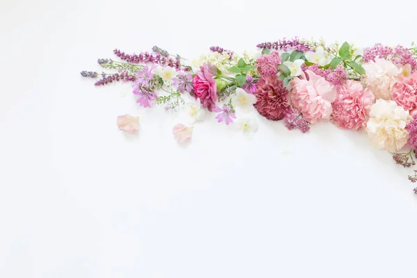 Όμορφα Καλοκαιρινά Λουλούδια Λευκό Φόντο — Φωτογραφία Αρχείου