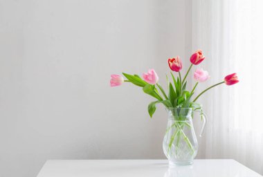 Beyaz arka planda cam vazodaki laleler