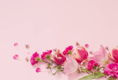 Güzel bahar çiçekleri pembe bir arka plan üzerinde