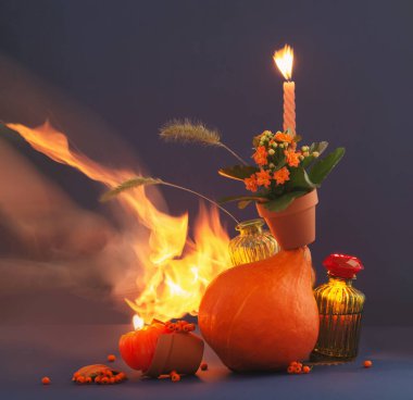 Sonbahar, koyu mavi arka planda sakin bir hayat.