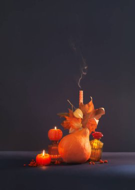 Sonbahar, koyu mavi arka planda sakin bir hayat.