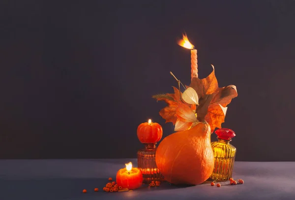 Herbst Stillleben Auf Dunkelblauem Hintergrund — Stockfoto