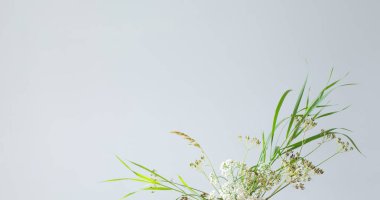 Gri arka planda yabani çiçek ve bitkilerin sıralanması