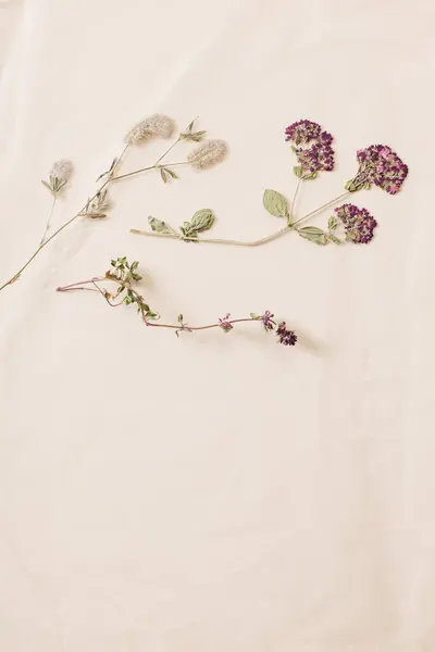 Flores Secas Sobre Papel Viejo Arrugado — Foto de Stock