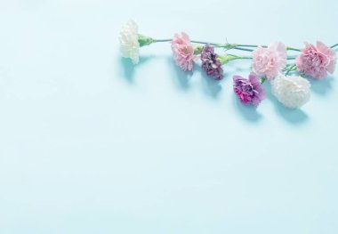 karanfil çiçekleri yeşil kağıt arka planda