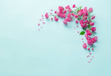 Mavi kağıtta pembe güller