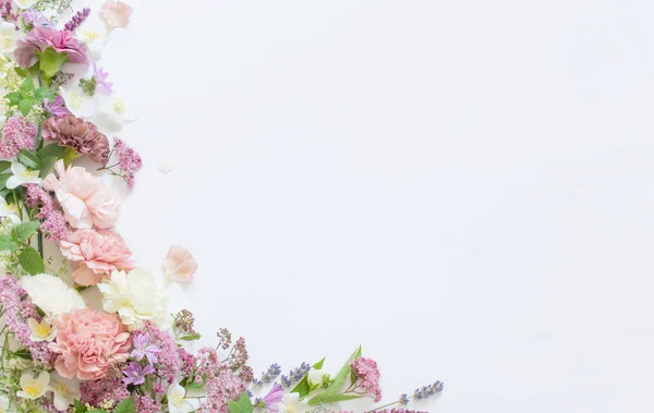 Hermosas Flores Verano Sobre Fondo Blanco —  Fotos de Stock