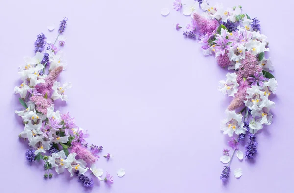 Білі Фіолетові Квіти Фіолетовому Паперовому Фоні — стокове фото