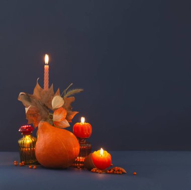 Sonbahar, koyu mavi arka planda sakin bir hayat.