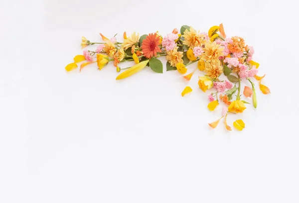 Каркас Красивих Квітів Білому Тлі — стокове фото