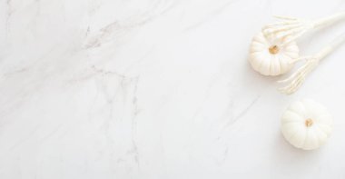 Beyaz cadılar bayramı balkabakları mermer arka planda dekor ile