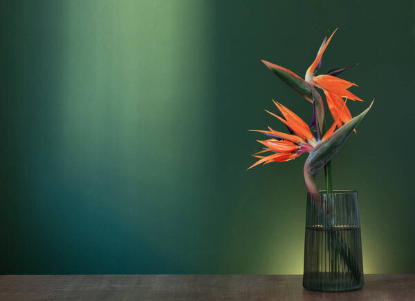 bird of paradise flowers in vase on green background