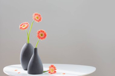 Pembe gerber gri vazolarda beyaz masada arka planda gri duvarda