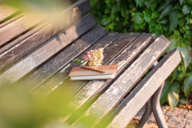 Güz parkındaki eski ahşap bankta deri defter ve kalem.