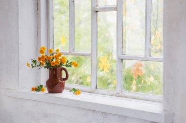 Sonbaharda cam kenarında vazoda kasımpatılar