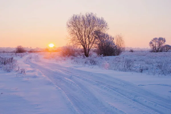 Piękny Zimowy Krajobraz — Zdjęcie stockowe