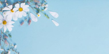 mavi kağıt arka plan üzerinde beyaz çiçekler