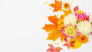 Beyaz arkaplanda sonbahar yaprakları ve çiçek kompozisyonu