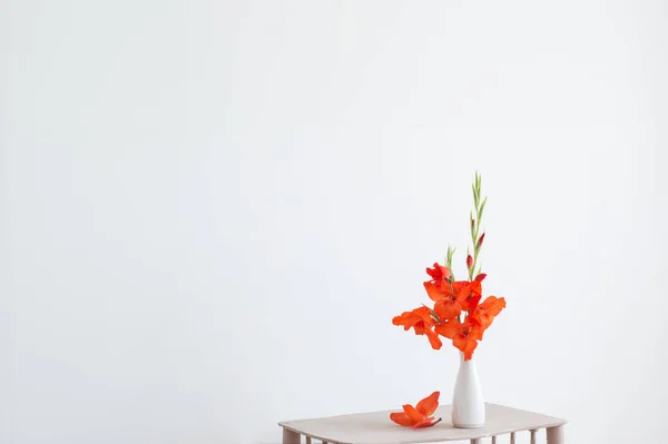 Czerwony Gladiolus Wazonie Białym Tle — Zdjęcie stockowe