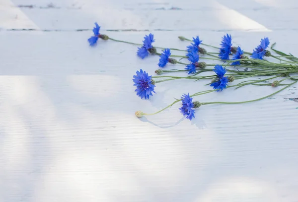 Beyaz Ahşap Arka Planda Mavi Çiçekler — Stok fotoğraf