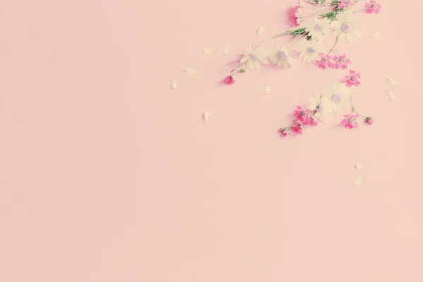 Vadvirágok Rózsaszín Papír Háttér — Stock Fotó
