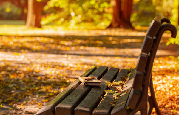 leather notebook and pen on old wooden bench in autumn park