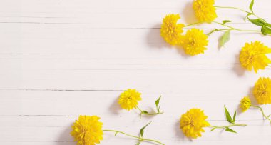 Beyaz arkaplanda sarı çiçekler