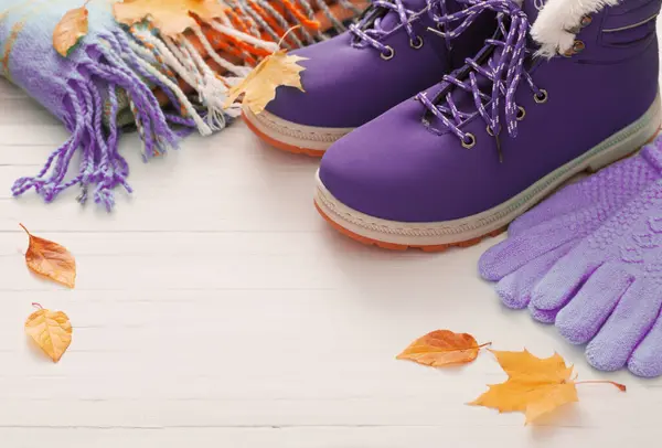 Pantofi Mănuși Violet Iarnă Fundal Alb Din Lemn — Fotografie, imagine de stoc