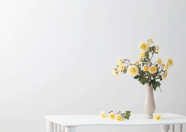 Still Life Chrysanthemums White Background — Stock Photo, Image