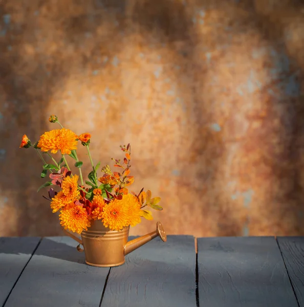 Krysantemum Blommor Gyllene Vattning Burk Bakgrund Gammal Vägg Solljus Royaltyfria Stockbilder