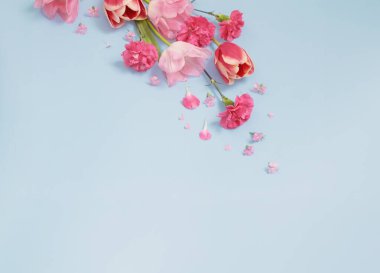 Mavi arka planda güzel bahar çiçekleri