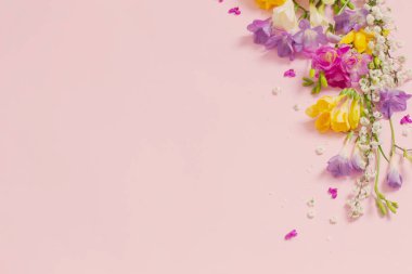 Pastel pembe arka planda bahar çiçekleri