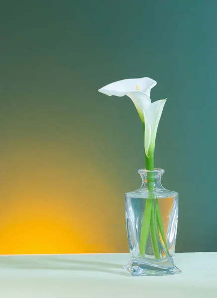 Belles Fleurs Blanches Dans Vase Verre Sur Fond Vert — Photo