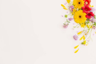 beyaz zemin üzerine yaz çiçek